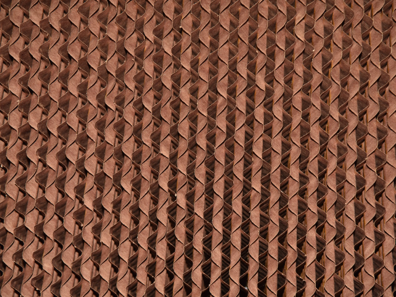 DSC_0861.JPG