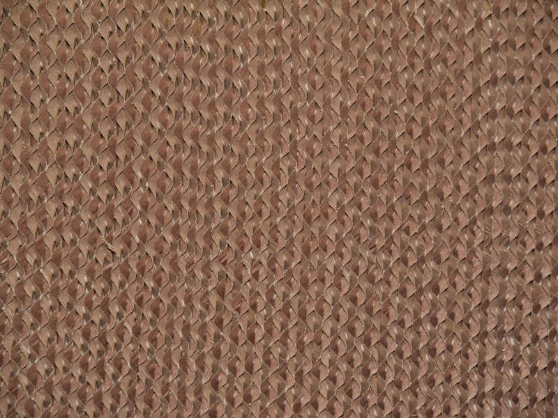 DSC_0862.JPG