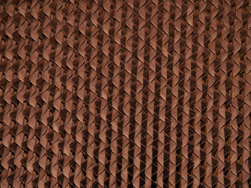 DSC_0859.JPG