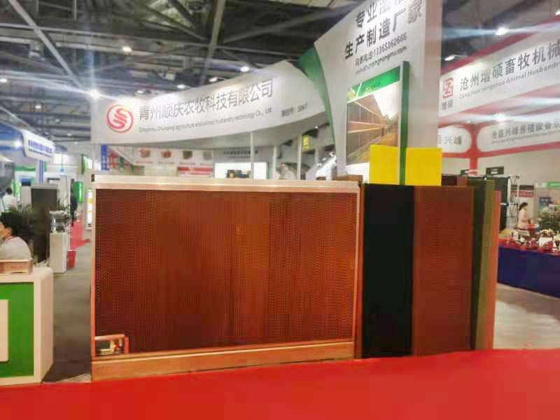 mmexport1621847878939.jpg