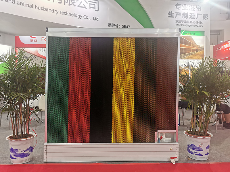 mmexport1621847972220(1).jpg